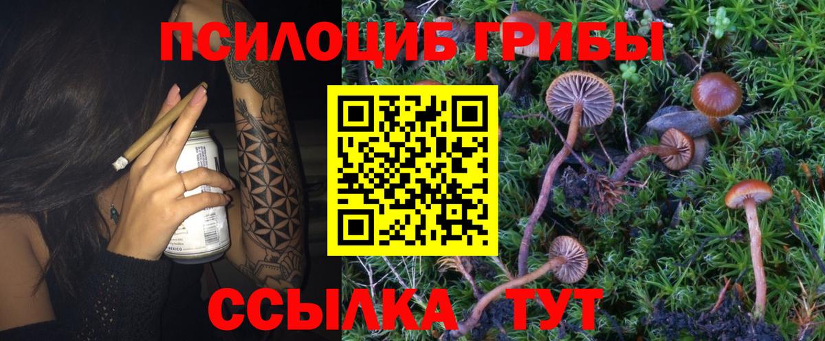 Псилоцибиновые грибы ЛСД Фролово