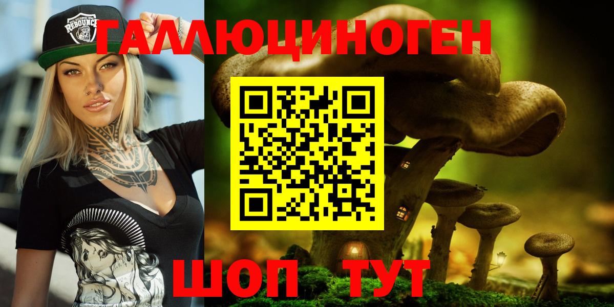 Фролово  Псилоцибиновые грибы GOLDEN TEACHER  Вход с VPN  Псилоцибиновые грибы Psilocybine cubensis 